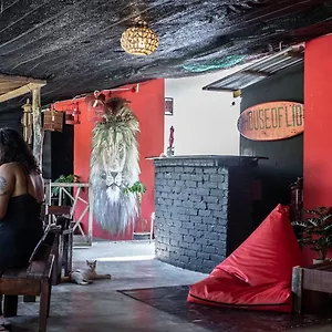 House Of Lion Hostel Gasthof Pantai Cenang (Langkawi)